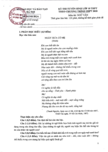 de minh hoa van 1 1724910504801625769646